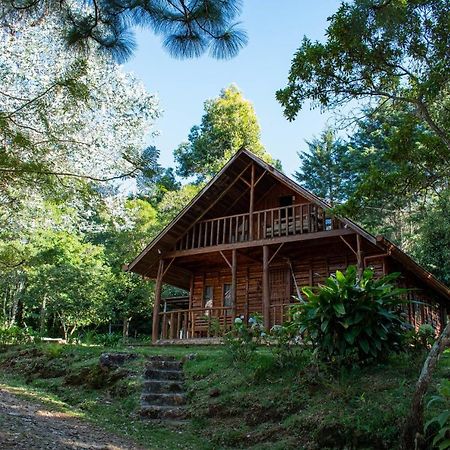 Cabanas El Coyote San Pablo  Zewnętrze zdjęcie